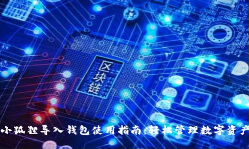 小狐狸导入钱包使用指南：轻松管理数字资产